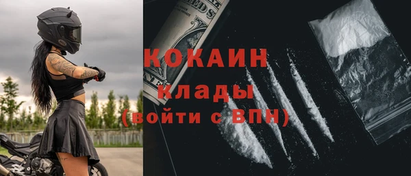 Альфа ПВП Няндома