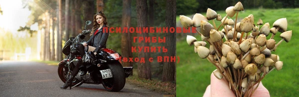СК Нягань