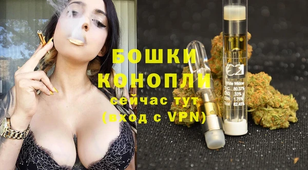 Альфа ПВП Няндома