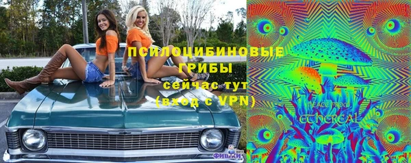 Альфа ПВП Няндома