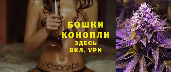Альфа ПВП Няндома