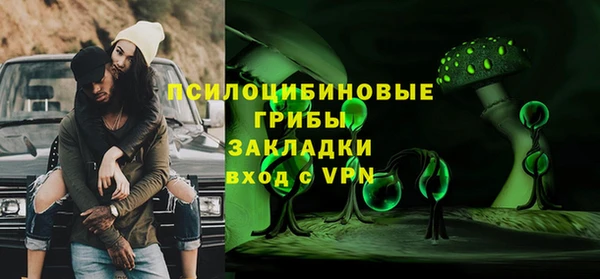 Альфа ПВП Няндома