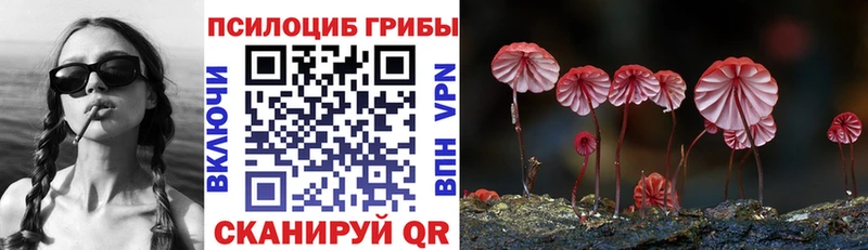 мега Пучеж Галлюциногенные грибы мицелий закладки
